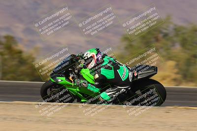 media/Nov-12-2023-SoCal Trackdays (Sun) [[5d1fba4e7d]]/Turn 3 Inside Speed Pans (135pm)/